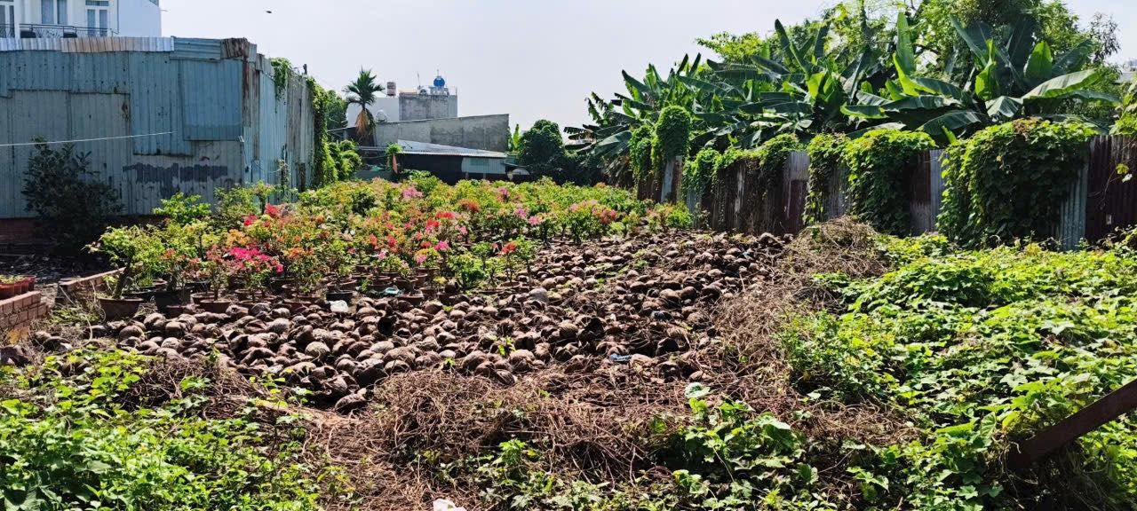 Đất thổ cư Phường Thạnh Xuân, Quận 12, 128m² giá 550 triệu - Vị trí đẹp, chính chủ!