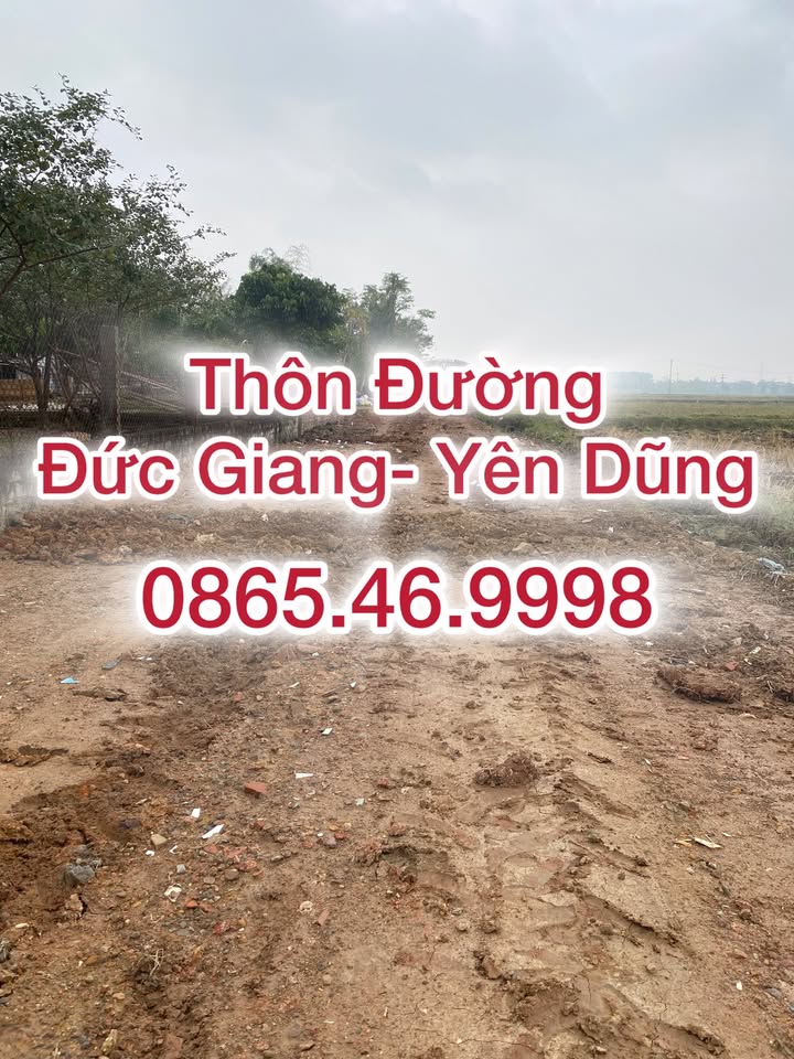 Đất nền tiềm năng tại Thôn Đường, Đức Giang, Bắc Giang - 100m² giá thỏa thuận