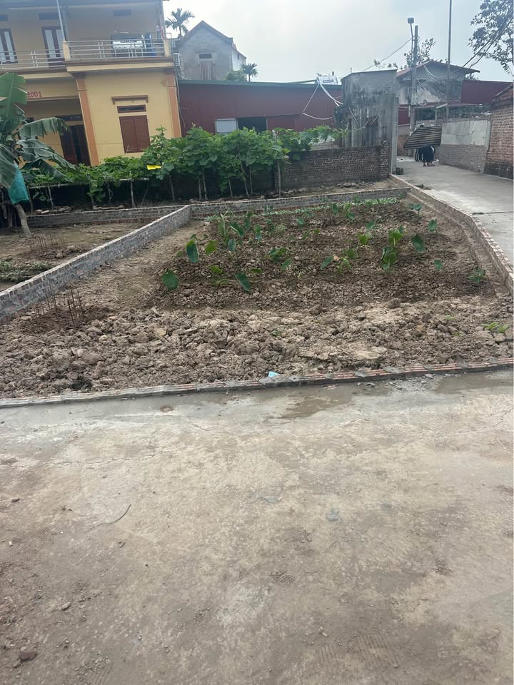 Đất lô góc Phường Hà Mãn, Thuận Thành, Bắc Ninh 55m² giá 1 tỷ - Vị trí đắc địa!