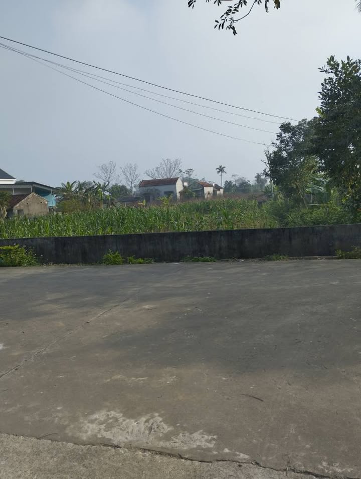 3 Lô Đất Liền Kề Tại Xã Xuân Du - Như Thanh - Giá Chỉ 1.08 Tỷ!