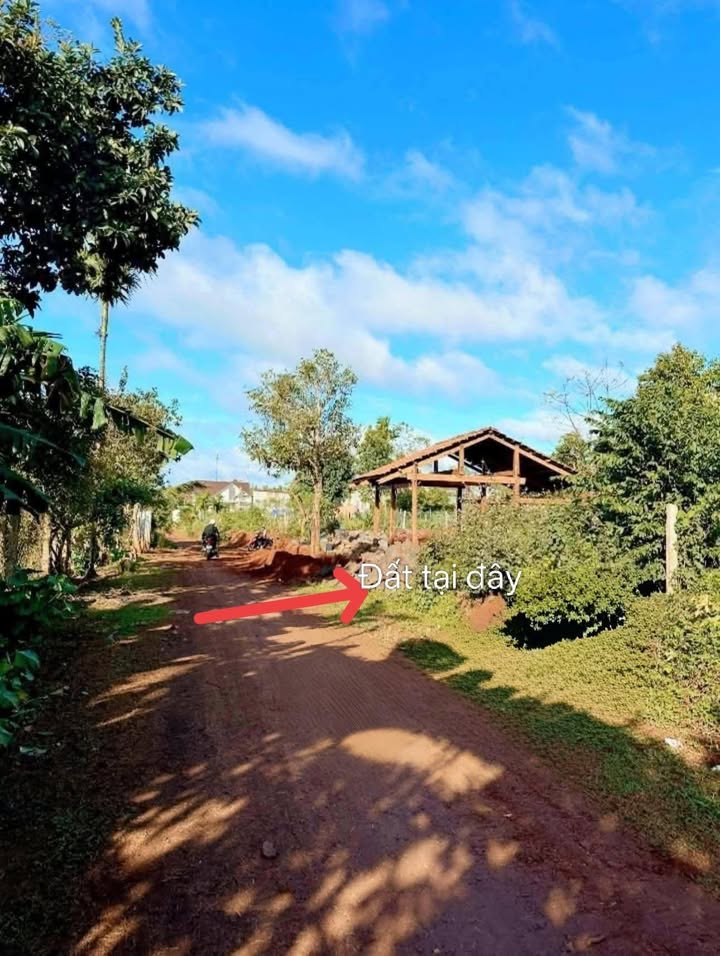 Đất nền 110m² mặt tiền đường Phạm Phú Thứ, Buôn Hồ chỉ 880 triệu - Cơ hội đầu tư hấp dẫn!