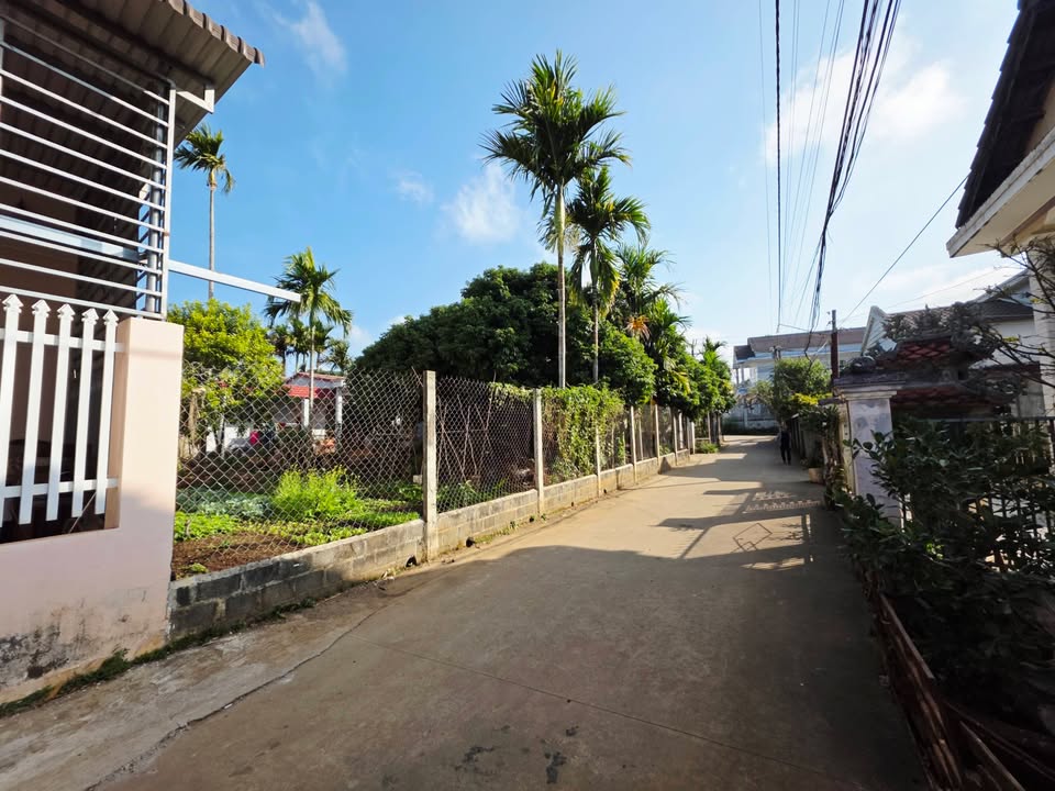 Đất nền Tân Hòa Đắk Lắk 384m² giá 2.99 tỷ - Tiện ích đầy đủ, khu dân cư sầm uất!