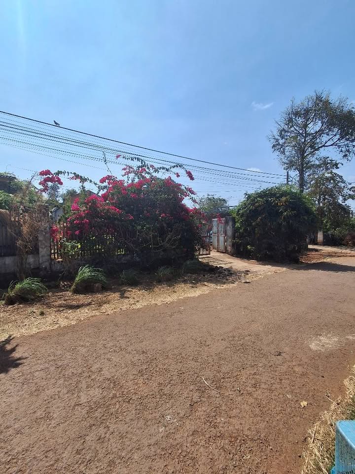 Đất nền Thôn 6, Xã Ea Ktur, 115m² - Giá 1.9 tỷ - Đường nhựa thông thoáng