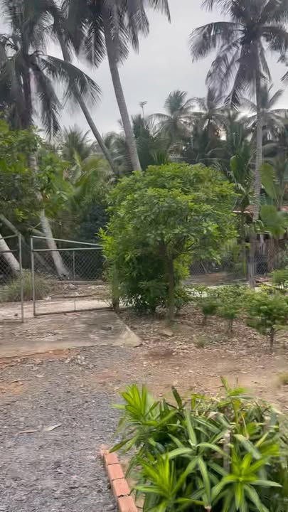 Đất nền đẹp Bình Ninh 1508m² giá 1.2 tỷ - Tiềm năng đầu tư lớn!