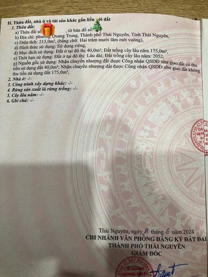 Đất thổ cư phường Quang Trung 215m² giá 2 tỷ - Vị trí đắc địa gần cầu vượt!