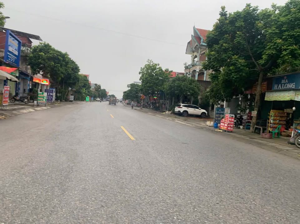 Đất đấu giá Tân Hương, Ninh Giang 100m² giá chỉ 1 tỷ - Cơ hội đầu tư hấp dẫn!