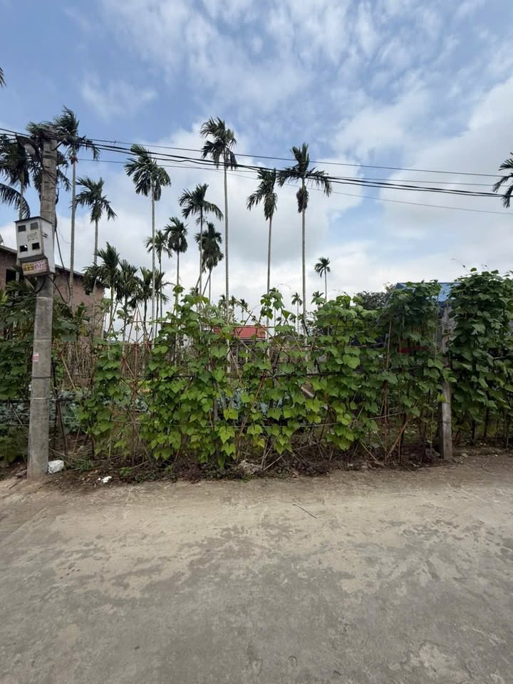 Đất nền Xuân Đài 2, Trường Thọ, An Lão 85.2m² giá 1.4 tỷ - Cơ hội đầu tư vàng!