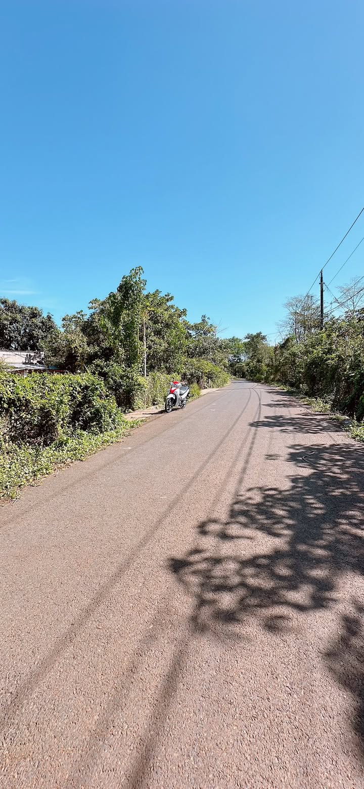 Đất Farm 19800m² tại Bàu Lâm, Xuyên Mộc - Sổ đỏ chính chủ, giá tốt!