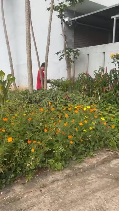 Đất thổ cư Hòa Long, Bà Rịa 140m² giá 2.1 tỷ - Sổ hồng chính chủ, vị trí đẹp!