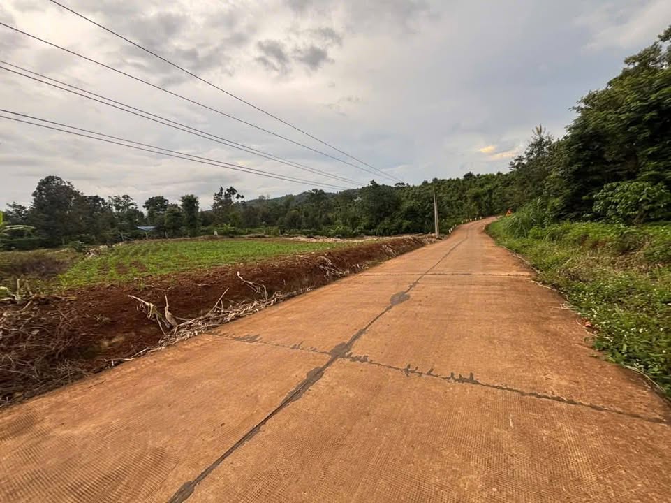 Đất thổ cư 720m² mặt tiền 76m tại Ea Kao - Giá 3.2 tỷ, đầu tư sinh lời!