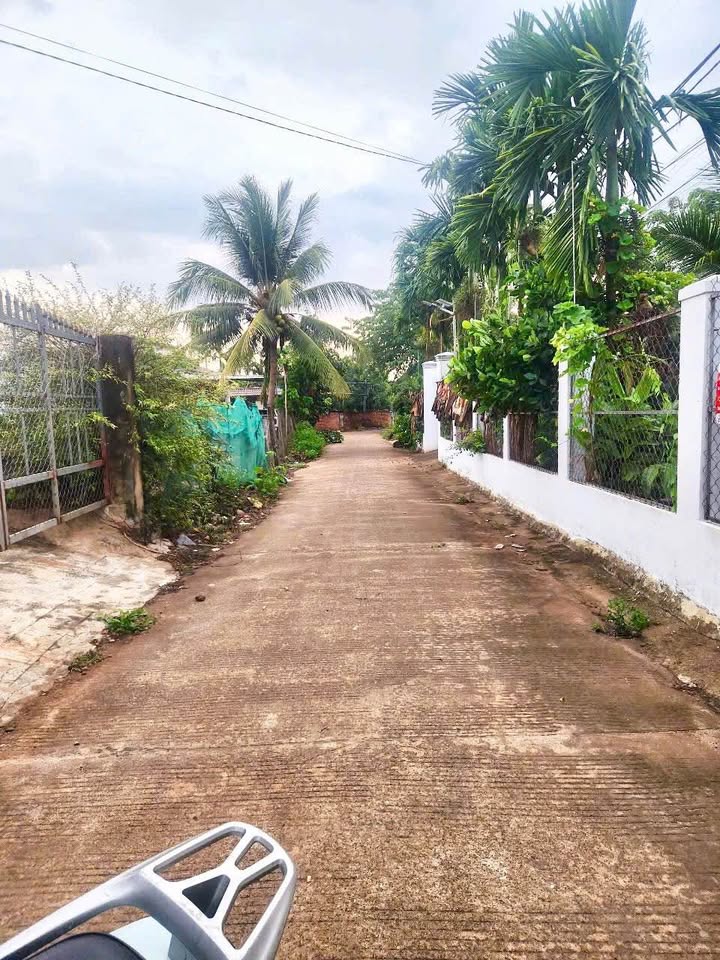 Nhà cấp 4 Thị trấn Ea Pốk 200m² giá 1.65 tỷ - Tiện ích đầy đủ ngay bên cạnh!