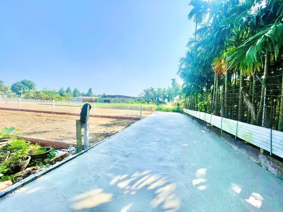 Đất vườn trung tâm TP Quảng Ngãi 250m² giá 1.09 tỷ - Cơ hội đầu tư hiếm có!