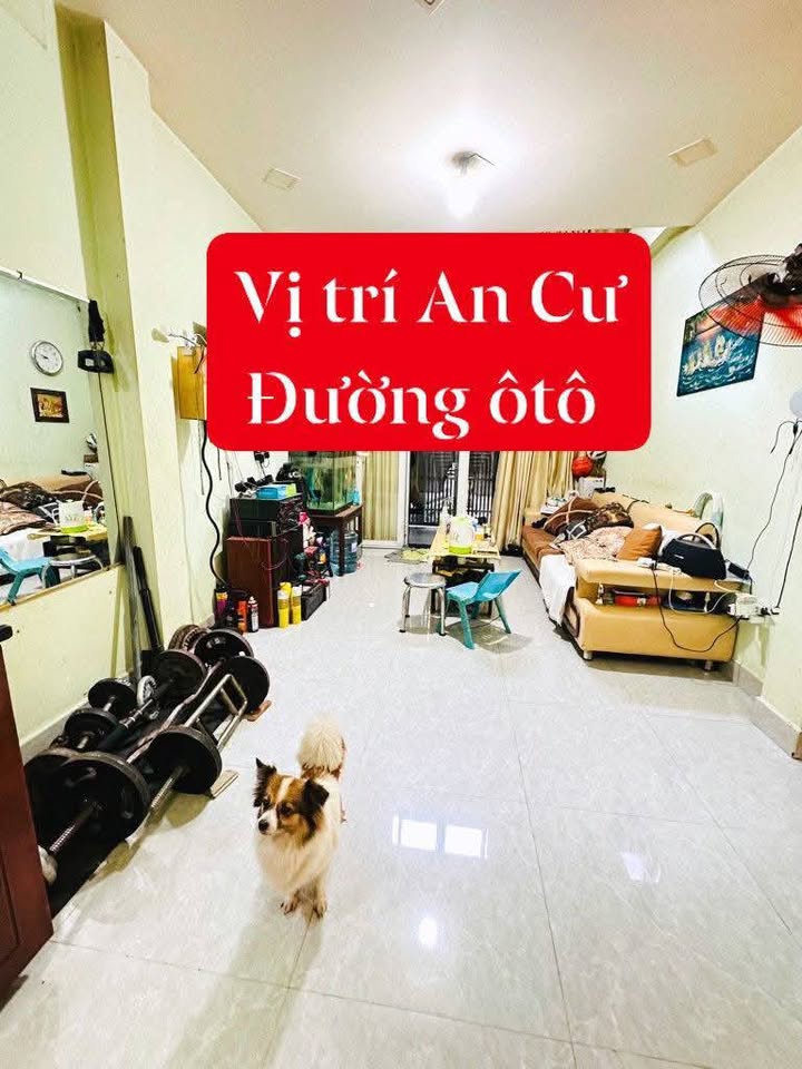 Nhà phố Thành Thái, Quận 10, 40m² giá 8 tỷ - Khu dân trí cao, ô tô đỗ cửa!