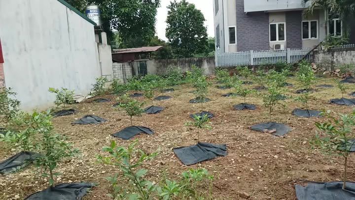 Đất nền 357m² tại tổ 5 Đức Xuân - Tiềm năng phát triển lớn!