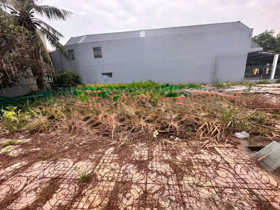 Đất mặt tiền Trần Thị Nhượng, Sa Đéc 82m² - Đầu tư sinh lời!