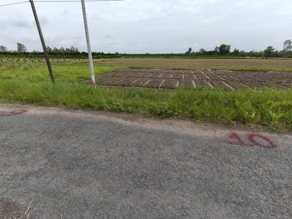 Đất nền đường Cầu Vĩ, xã Tân Phú Trung 120m² giá 250 triệu - Đầu tư lý tưởng!