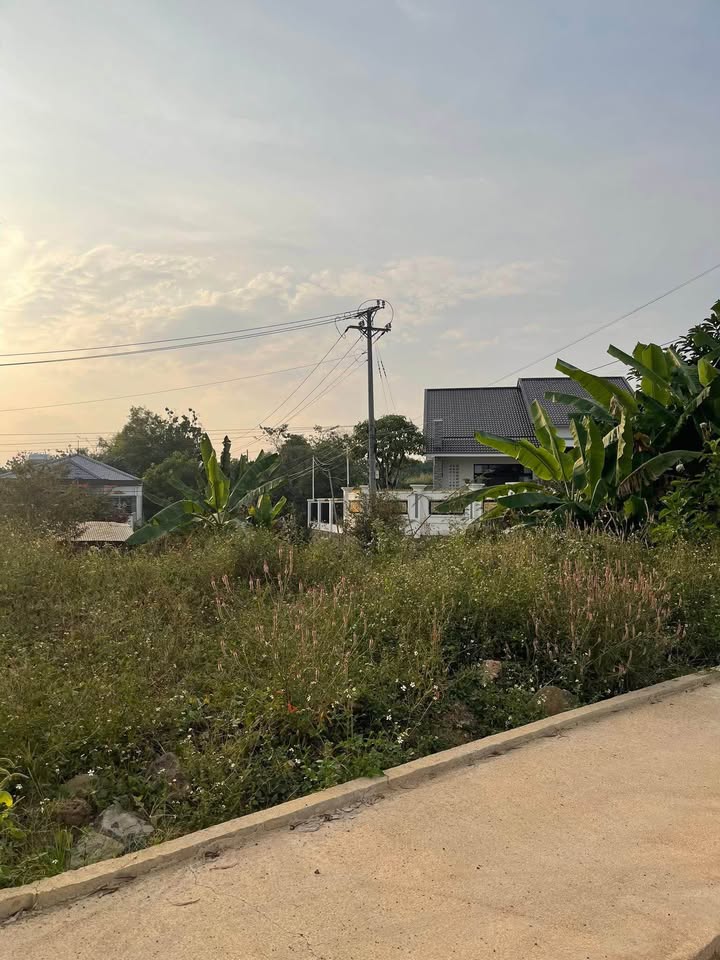 Đất nền thổ cư 286m² Thị trấn Tân Phú - Giá 1.2 tỷ - Đường mới mở, tiện ích đầy đủ!