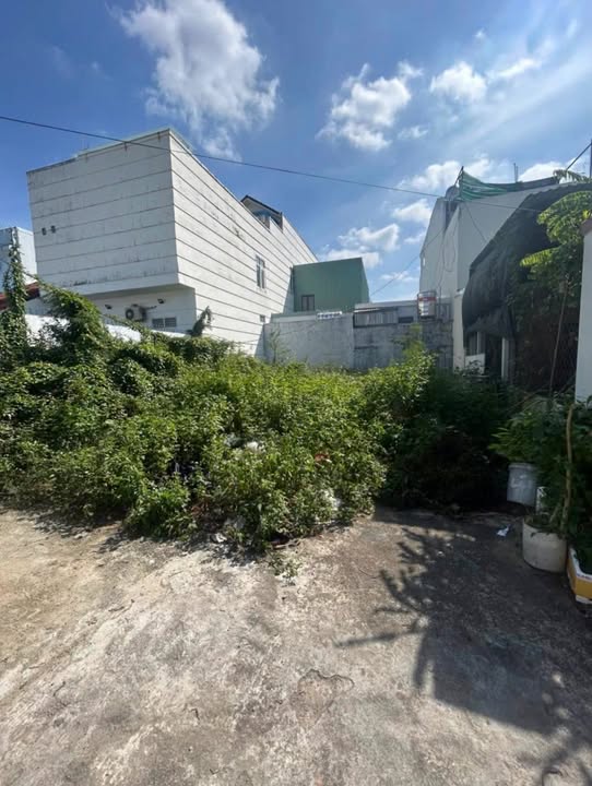 Đất nền Phường Nhơn Hoà 100m² giá 1.2 tỷ - Thương lượng nhẹ ngay hôm nay!