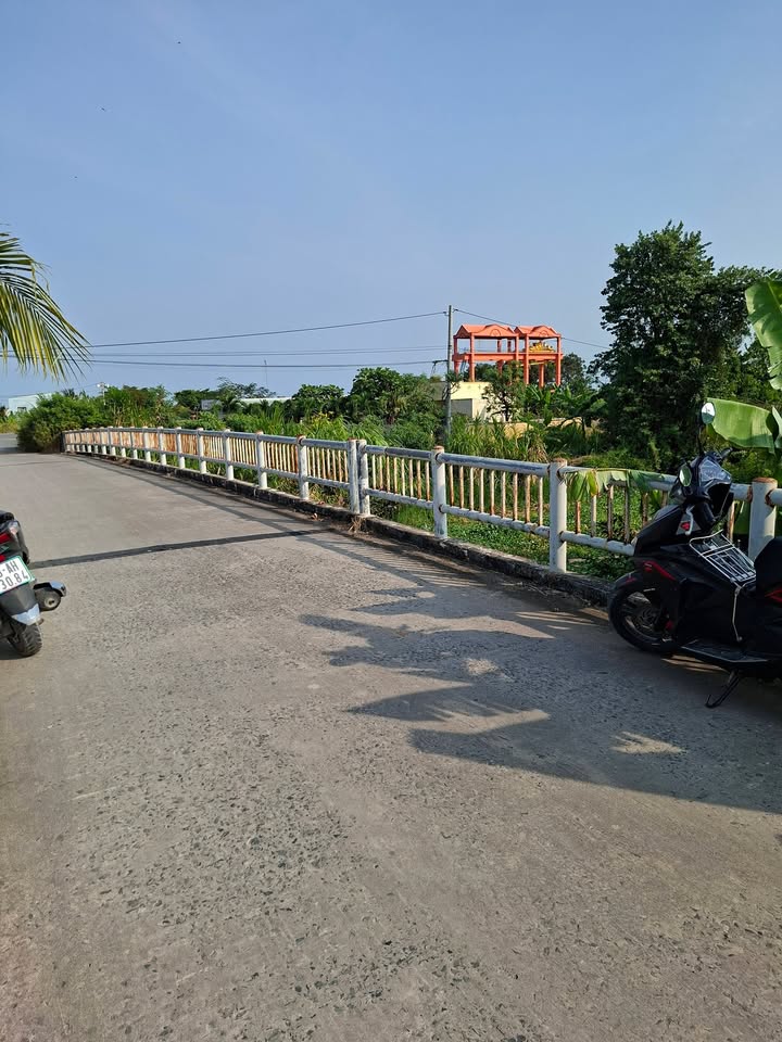 Đất nền Ấp Bắc 1, Tân Điền, Gò Công Đông 9800m² giá chỉ 220 triệu - Cơ hội đầu tư tuyệt vời!