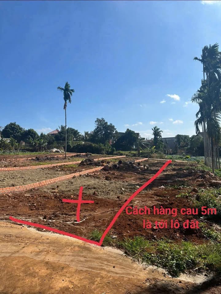 Đất nền Hẻm 33 Giải Phóng, Tân Thành, 200m² chỉ 2.79 tỷ - Đầu tư sinh lời!