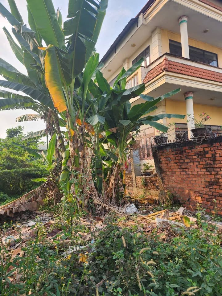 Lô đất 301m² đường An Phú Đông 25, Quận 12 giá 5.65 tỷ - Sổ hồng riêng, công chứng nhanh!