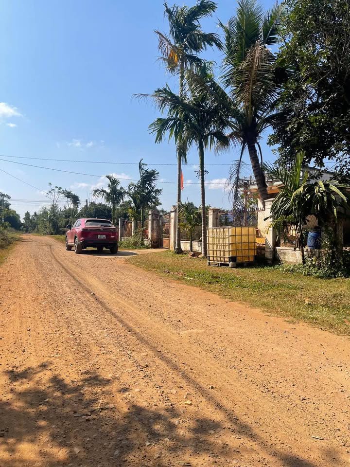 Đất nền Hòa Phú Thủ Dầu Một 115m² giá 530 triệu - Đầu tư lý tưởng!