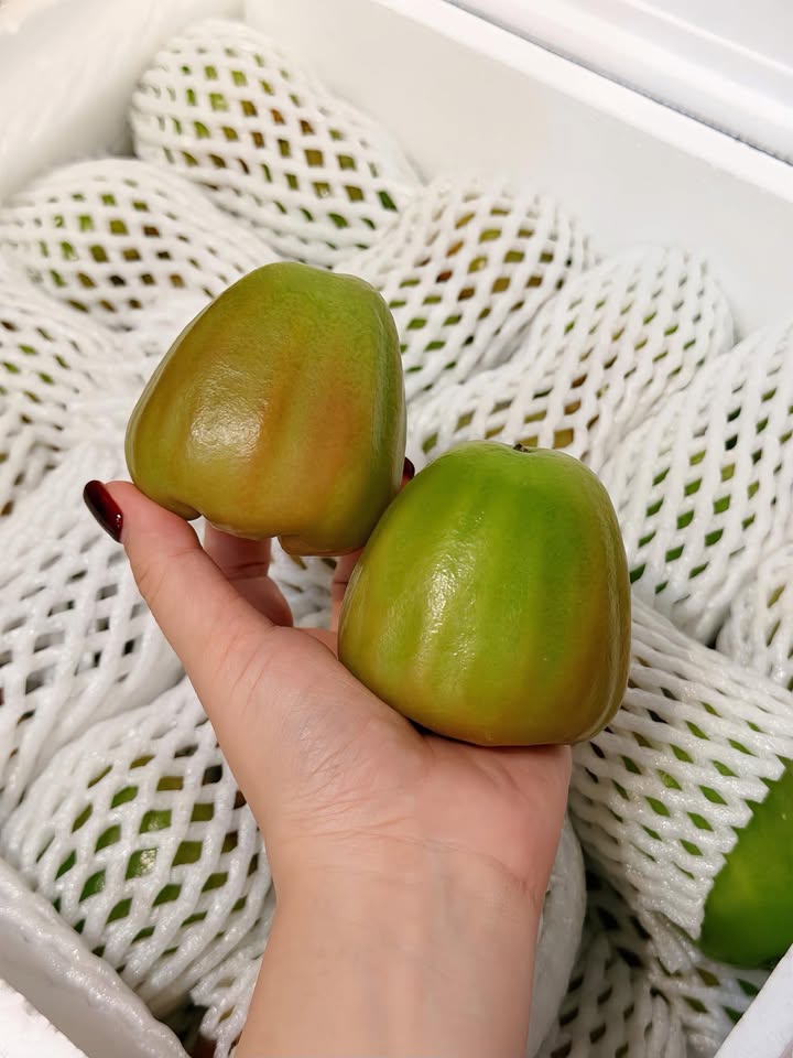 Đất nền Phường Thuận Giao 134m² giá 2.15 tỷ - Đầu tư sinh lời ngay!