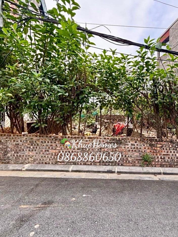 Đất nền Lễ Pháp, Đông Anh 55m² giá 6 tỷ - Ô tô vào tận nơi!