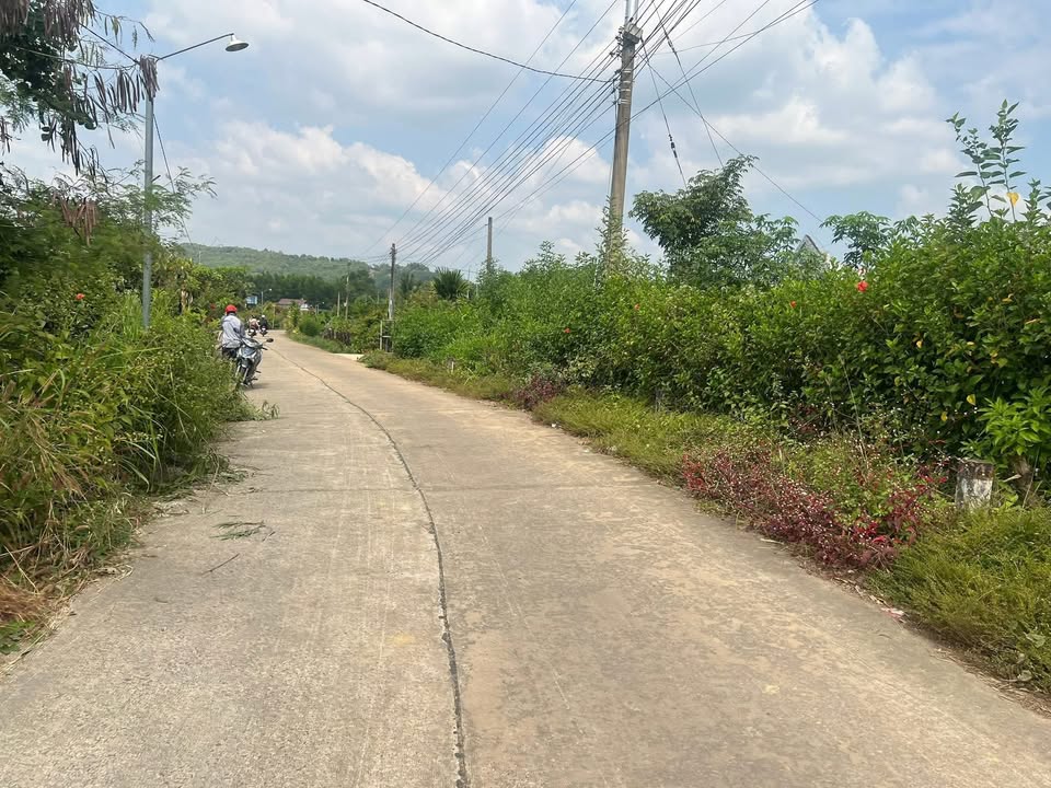 Đất thổ cư tại xã Phú Vinh, 140m² giá 550 triệu - Đường bê tông, khu dân cư đông đúc!