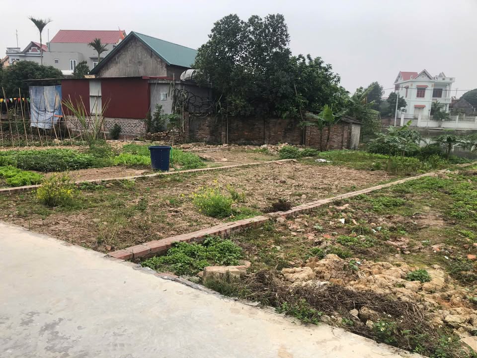 Đất thổ cư thôn Bì Đổ, Cổ Bì, Bình Giang 78m² giá 500 triệu - Cơ hội đầu tư hấp dẫn!