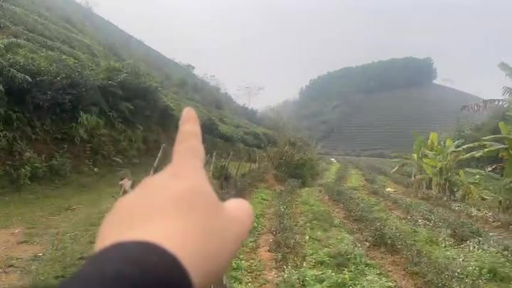 Lô đất Farm Xã Long Cốc 600m² giá 300 triệu - Tiềm năng đầu tư lớn!