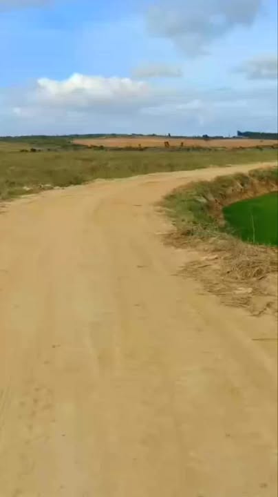 Đất rẫy đẹp 10ha xã Ia Sol, huyện Phú Thiện giá chỉ 6 tỷ - Cơ hội đầu tư tuyệt vời!