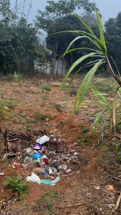 Đất nền thổ cư tại xã Trì Quang, huyện Bảo Thắng, 220m² - Giá 2.1 tỷ, cơ hội đầu tư tuyệt vời!