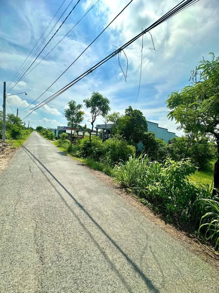 Đất nông nghiệp mặt tiền Nhựa Sơn Quy A, Hồng Ngự 1843m² giá 2.8 tỷ - Tiềm năng phát triển lớn!