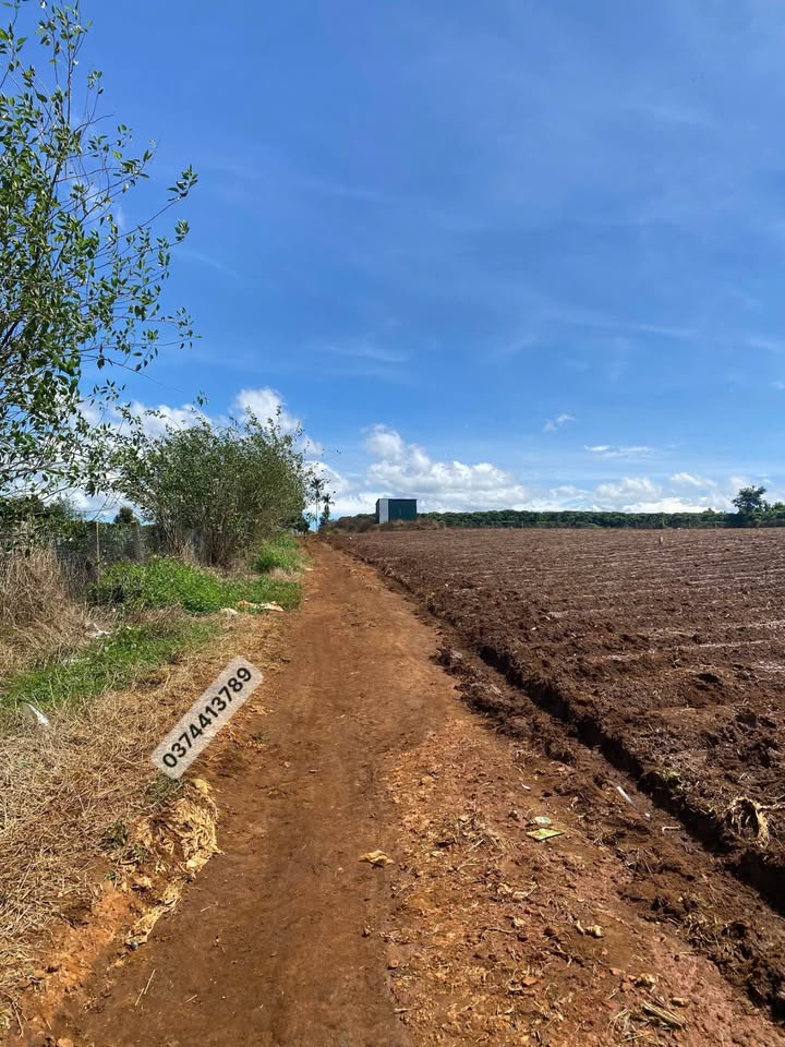 Đất vườn lẻ Tân Hà, Lâm Hà 1.012m² giá 679 triệu - Cơ hội đầu tư tuyệt vời!