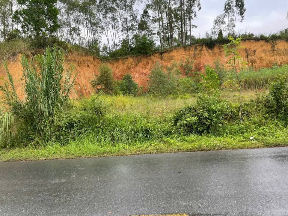 Đất nền KCN Phù Ninh 207m² giá tốt - Cơ hội đầu tư sinh lời!