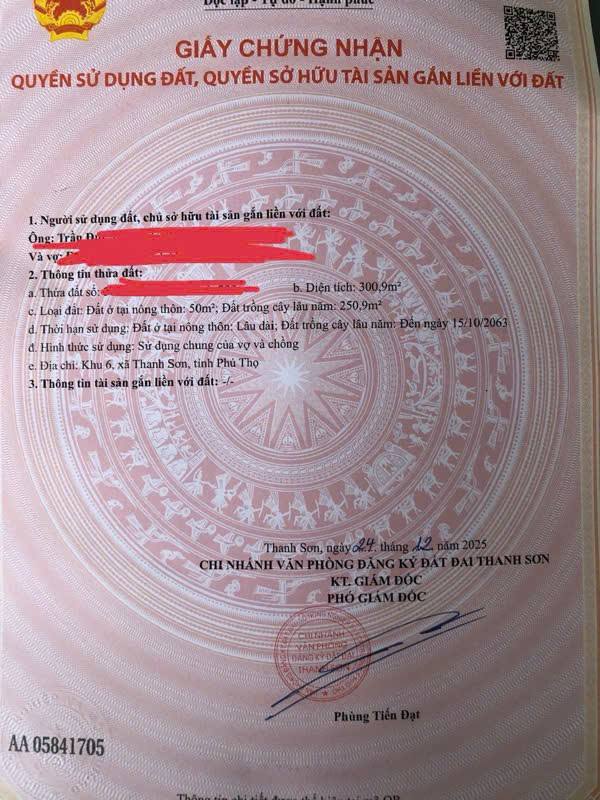 Đất nền xã Thục Luyện, huyện Thanh Sơn 300m² giá 1 tỷ - Cơ hội đầu tư sinh lời!