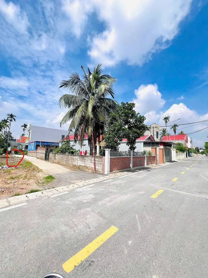 Đất nền phường Hoàng Lâm, Thủy Nguyên, Hải Phòng 100m² - Giá chỉ 2,2 tỷ!