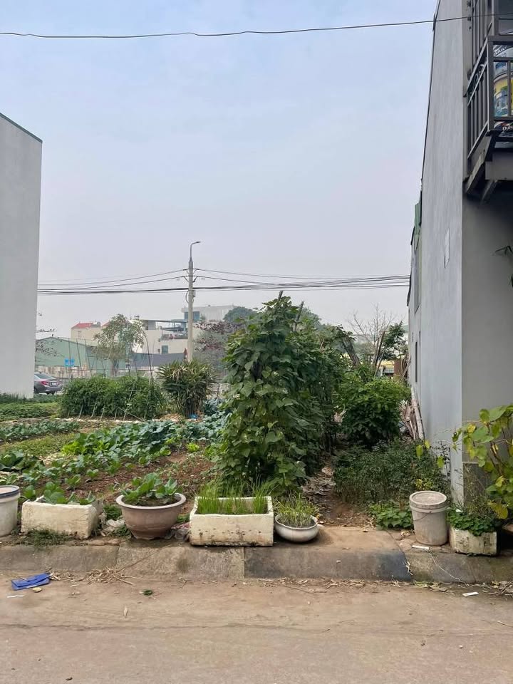 Đất đấu giá Xã Lại Yên 53.3m² giá 7 tỷ - Gần hồ điều hòa và chợ dân sinh!