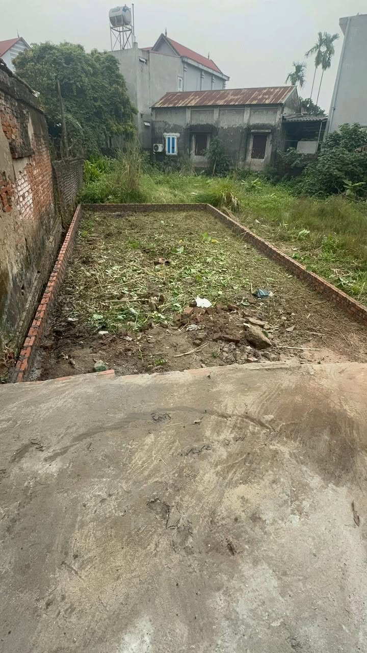 Đất thổ cư 55m² thôn Nghĩa Lộ, xã Võng Xuyên, giá chỉ 1 tỷ - Cơ hội đầu tư tuyệt vời!