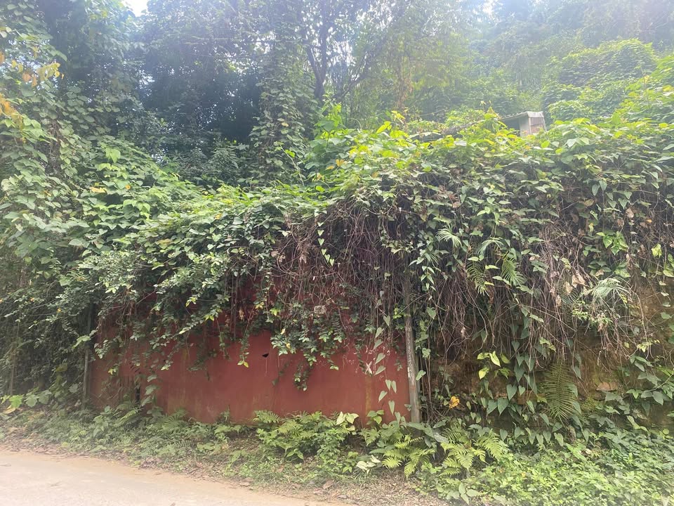 Đất nền nghỉ dưỡng 2040m² tại Thôn Ngọc Linh, Yên Trung - Giá tốt nhất Thạch Thất!