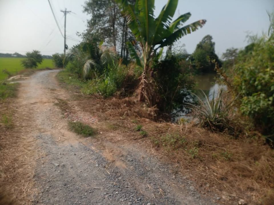 Đất nền rộng 1146m² tại phường Mỹ Trà, giá chỉ 420 triệu - Cơ hội đầu tư hấp dẫn!