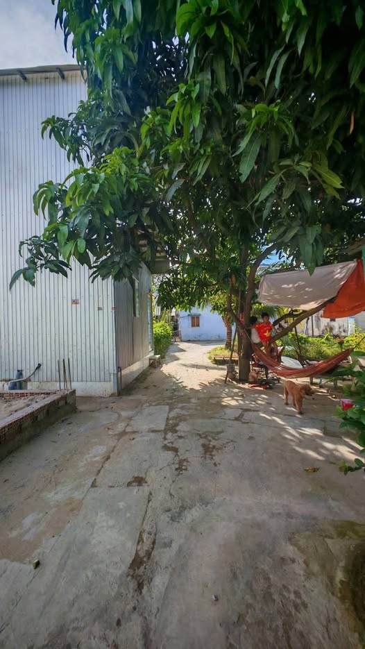 Đất nền Nhánh Cái Sao, Mỹ Thới 40m² giá thương lượng - Sẵn sàng xây dựng ngay!