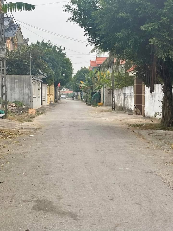 Đất nền Thành Thắng, Quảng Cư 102m² giá 1 tỷ - Cơ hội đầu tư tuyệt vời!