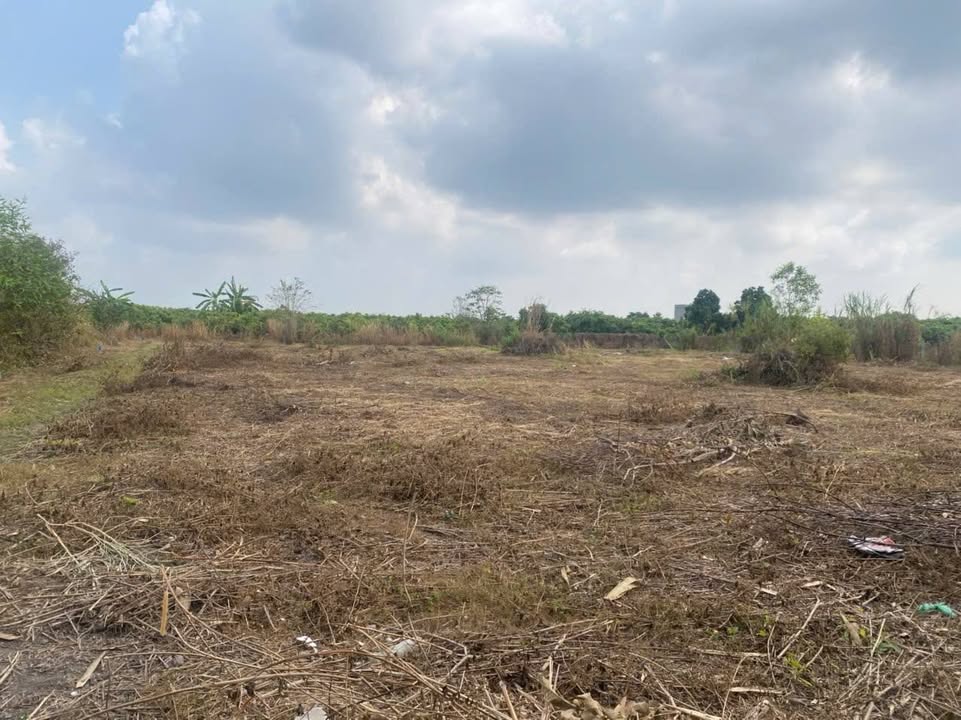 Đất nền 2000m² tại Xã Trường Đông, Tây Ninh - Giá chỉ 600 triệu