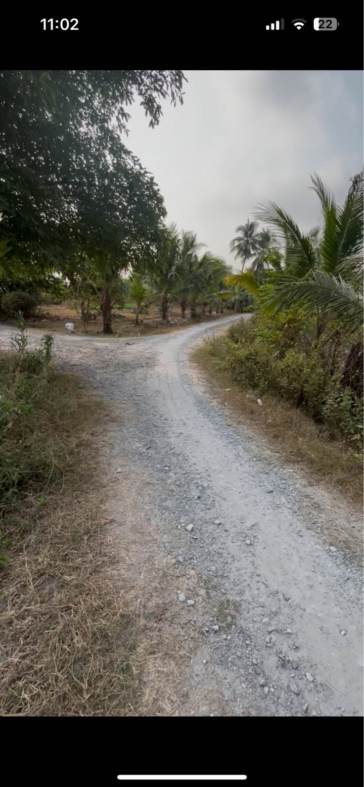 Đất nền Khu phố Suối Cao, Phường Gia Lộc 151m² giá 480 triệu - Cơ hội đầu tư tuyệt vời!