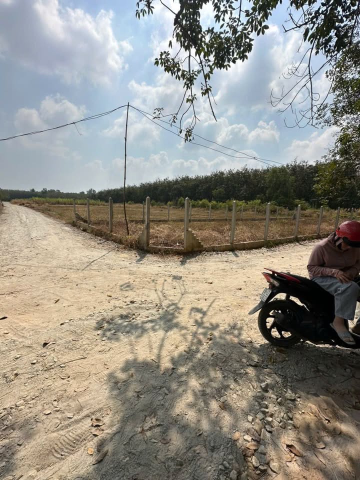 Đất nền xã Phan, huyện Dương Minh Châu, 140m² giá 295 triệu - Đầu tư sinh lời ngay!