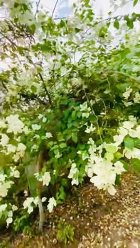 Đất nền Hòa Thạnh, Châu Thành 290m² giá 9.5 tỷ - Cơ hội đầu tư hấp dẫn!