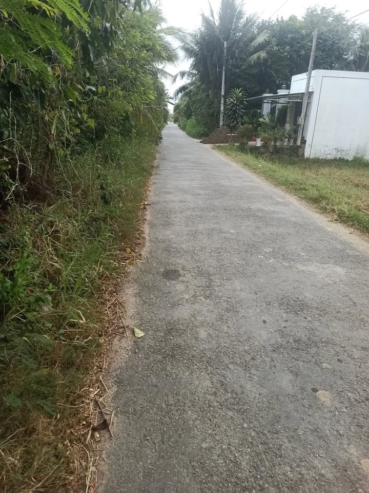 Đất nền mặt tiền lộ nhựa gần chợ mới Mỹ Chánh 440m² giá 890 triệu - Cơ hội đầu tư tuyệt vời!