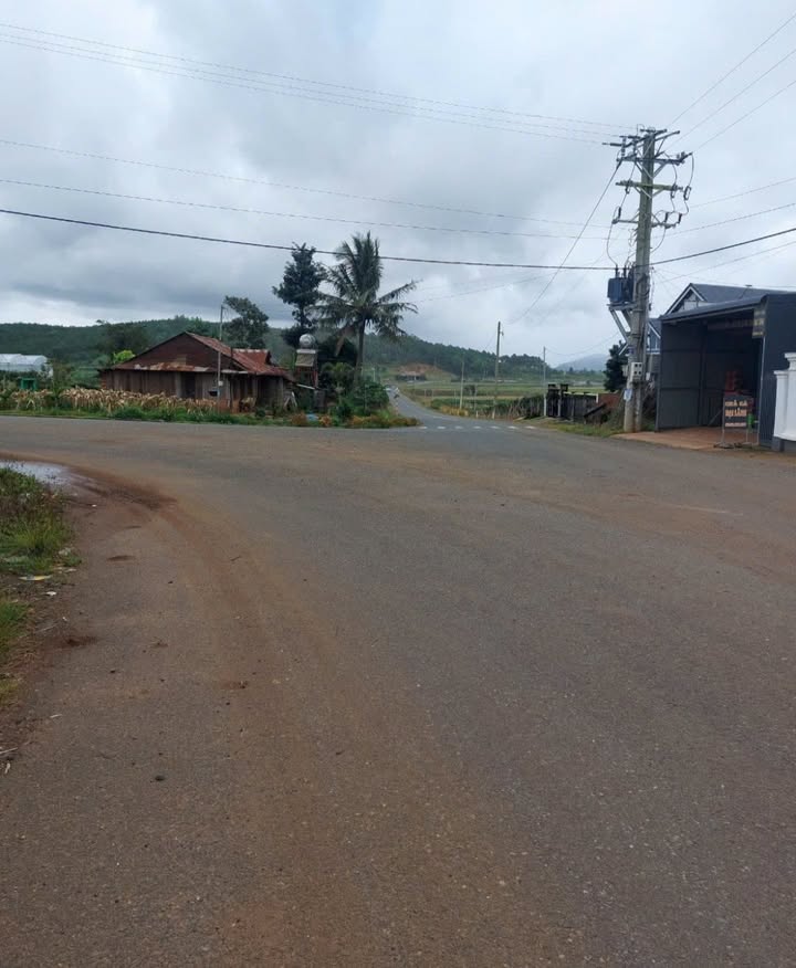 Đất nền thổ cư 550m² tại Nhựa Tân Phú, Đức Trọng - Giá chỉ 2.9 tỷ!